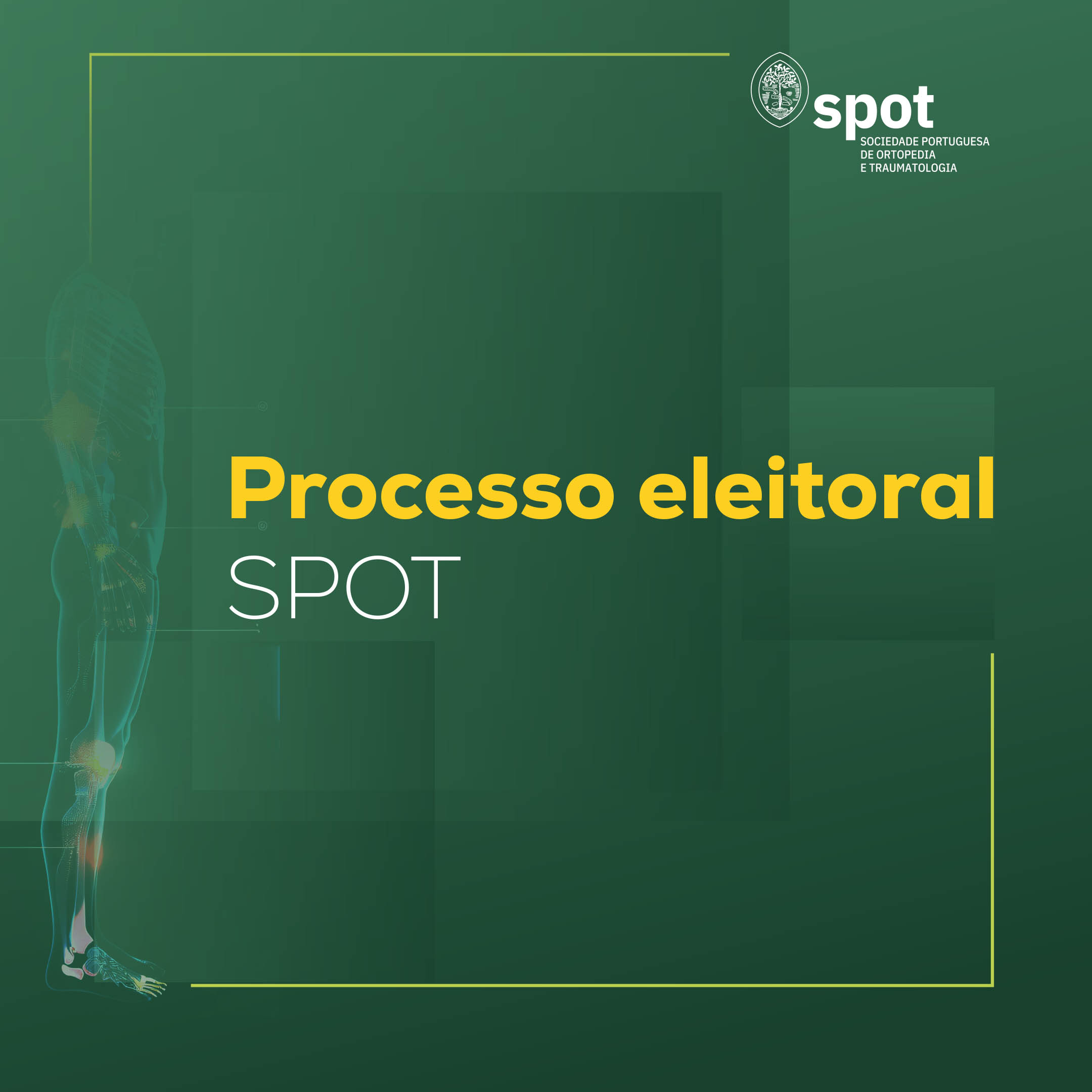 Processo eleitoral SPOT